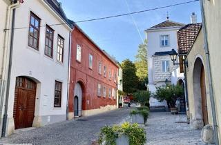 Mehrfamilienhaus kaufen in 2352 Gumpoldskirchen, EIN EINZIGARTIGES DENKMAL DER RENAISSANCE /// BAULANDRESERVE /// WEINKELLER, HEURIGER