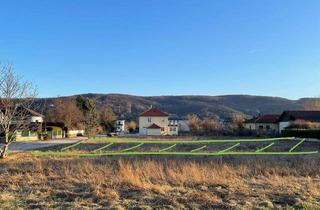 Grundstück zu kaufen in Hagengasse 36, 3424 Zeiselmauer, Baugrundstück zw. Klosterneuburg - Tulln