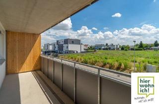Wohnung mieten in Thomas Scheider Gasse, 2201 Gerasdorf, Sonnenverwöhntes Wohnen in Gerasdorf: 2-Zimmer-Wohlfühloase mit Südbalkon und Garage