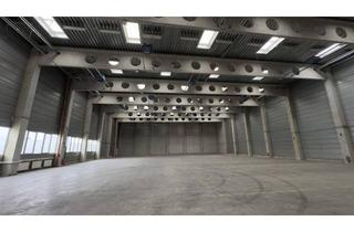 Büro zu mieten in Eitnergasse, 1230 Wien, ~1.500 m² Lagerhalle (9 Meter hoch, keine Mittelstützen) + ~ 65m² Büro in 1230 Wien - Eitnergasse 17