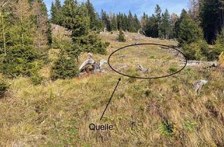 Gewerbeimmobilie kaufen in 8844 Schöder, 11 ha Wald in Murau Umgebung