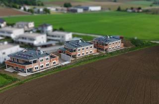 Wohnung kaufen in Lavendelweg 02, 4502 Sankt Marien, Neubauprojekt in Traumlage von St. Marien - Haus 2