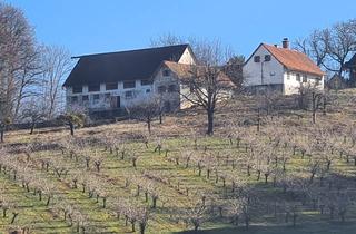 Bauernhäuser zu kaufen in Sankt Peter Am Ottersbach, 8093 Sankt Peter am Ottersbach, Altes Bauerngehöft in erhöhter Ruhelage mit unverbaubarer Freisicht
