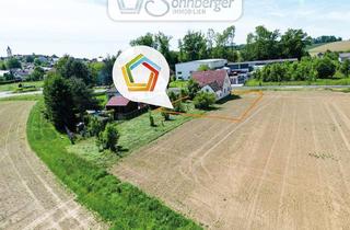 Grundstück zu kaufen in 4483 Hargelsberg, FREIRAUM mit WEITBLICK - großzügiges Grundstück mit Altbestand in Hargelsberg