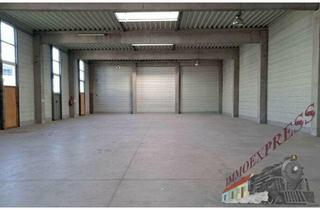 Büro zu mieten in 2331 Vösendorf, Lagerhalle in Vösendorf sucht verlässliche/n Mieter/In