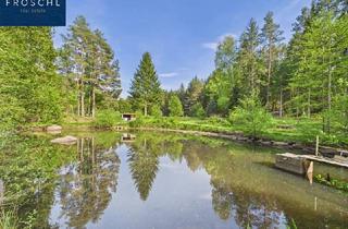 Immobilie kaufen in 3860 Heidenreichstein, NATURJUWEL WALDVIERTEL - Professionelle Waldteichanlage 4,3 ha - ANGEBOTSVERFAHREN