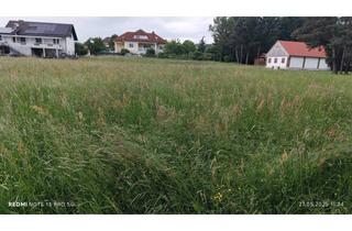 Gewerbeimmobilie kaufen in 7400 Sankt Martin in der Wart, Reserviert !!!! Traumhaftes Baugrundstück in Sankt Martin, Nähe Oberwart,1142m² Land für nur 85.000 €!