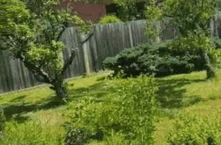 Grundstück zu kaufen in 3451 Michelhausen, Wunderschönes ebenes Grundstück im Tullnerfeld