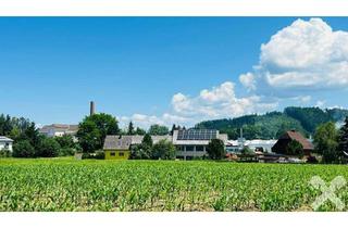 Grundstück zu kaufen in 8741 Weißkirchen in Steiermark, Ebener Baugrund