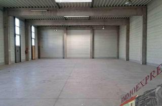 Büro zu mieten in 2331 Vösendorf, Lagerhalle in Vösendorf sucht verlässliche/n Mieter/In