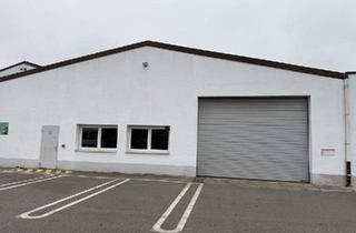 Büro zu mieten in 2353 Guntramsdorf, Halle mit Büro