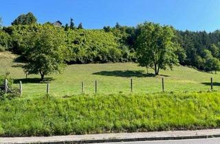 Grundstück zu kaufen in 4460 Losenstein, 2.224 qm Baugrund + 10.662 qm Wiesen-/Waldfläche