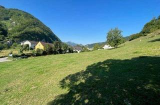 Grundstück zu kaufen in 4460 Losenstein, 2.224 qm Baugrund + 10.662 qm Wiesen-/Waldfläche