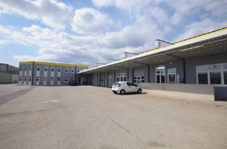 Büro zu mieten in Perfektastraße, 1230 Wien, Büro- und Lagerfläche Nahe der U6 Station Perfektastraße zu vermieten - TOP 6