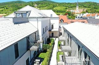 Penthouse kaufen in Badenerstraße, 2352 Gumpoldskirchen, Traumhaftes Penthouse I Erstbezug I Kremsmünsterhof - A\\