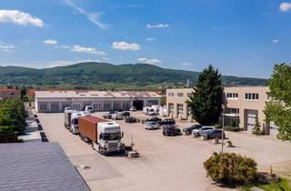 Büro zu mieten in 2514 Traiskirchen, Top Einzelbüro im Firmen-Businesspark 99 zu mieten!