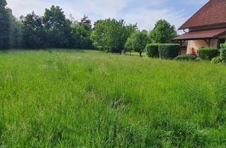 Grundstück zu kaufen in 3300 Amstetten, Drei bis vier Wohneinheiten möglich!