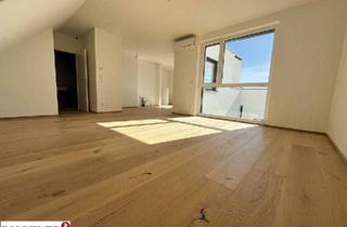 Maisonette kaufen in Kirschenallee, 1220 Wien, ERSTBEZUG | Gemütliche Dachgeschoss-Maisonette mit beeindruckender Terrasse | Nächst der Lobau