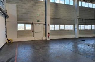 Gewerbeimmobilie mieten in 7011 Siegendorf, Zur Vermietung gelangt eine Lagerhalle mit einer Gesamtfläche von ca. 805 m² in Siegendorf nahe Eisenstadt - Sopron