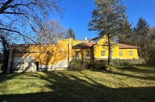 Villen zu kaufen in 7433 Mariasdorf, SCHLOSS WERKSCHLÖSSL Antimonschlössl steht zum Verkauf