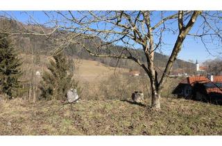 Grundstück zu kaufen in 4644 Viechtwang, Ebenes Grundstück mit Erweiterungsoption