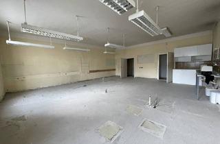 Wohnung mieten in 2700 Wiener Neustadt, Viel Raum im Herzen der Stadt – ideal für Wohnen & Arbeiten