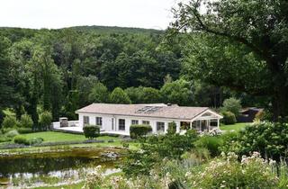 Haus kaufen in 3012 Wolfsgraben, Beeindruckendes Chalet in Wolfsgraben: Luxus pur mit traumhafter Gartengestaltung und Innenpool