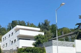 Mehrfamilienhaus kaufen in 7100 Neusiedl am See, NEUSIEDL AM SEE: Neuwertiges Mehrfamilienhaus in begehrter Wohnlage