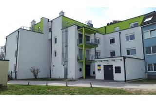 Wohnung mieten in Sportplatzgasse 1/3/1, 2492 Eggendorf, Geförderte Miete mit Kaufoption | Top 3/1 | EG mit Terrasse