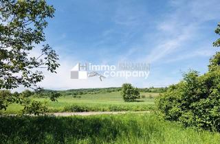 Grundstück zu kaufen in 2102 Bisamberg, Baugrund am Bisamberg -Die Sensation