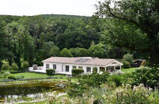 Haus kaufen in 3012 Wolfsgraben, Beeindruckendes Chalet in Wolfsgraben: Luxus pur mit traumhafter Gartengestaltung und Innenpool