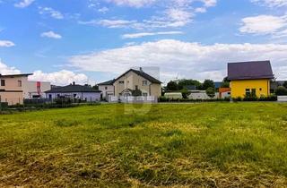 Grundstück zu kaufen in 2454 Trautmannsdorf an der Leitha, GROSSZÜGIGE FLÄCHE - AUFSCHLIESSUNGSKOSTEN BEZAHLT