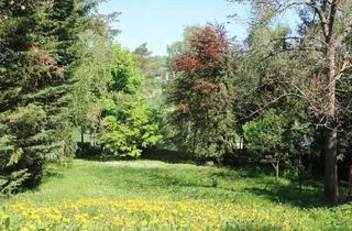 Grundstück zu kaufen in 2102 Hagenbrunn, Traum-Baugrund in Hagenbrunner Bestlage am Naturschutzgebiet