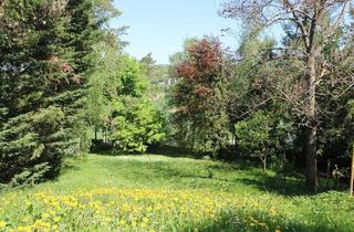 Grundstück zu kaufen in 2102 Hagenbrunn, Traum-Baugrund in Hagenbrunner Bestlage am Naturschutzgebiet