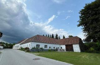 Einfamilienhaus kaufen in 3553 Schiltern, IHR SANIERUNGSBEDÜRFTIGES PARADIES FÜR MENSCH UND TIER MIT POTENTIAL UND GROSSEM GRUNDSTÜCK