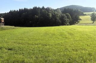 Gewerbeimmobilie kaufen in 4212 Neumarkt im Mühlkreis, Wald- und landwirtschaftliche Nutzflächen
