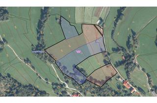 Gewerbeimmobilie kaufen in 9853 Gmünd, Ca. 3,59 ha landwirtschaftliche Flächen in KG Landfraß - Gemeinde Gmünd (Bezirk Spittal an der Drau) zu verkaufen