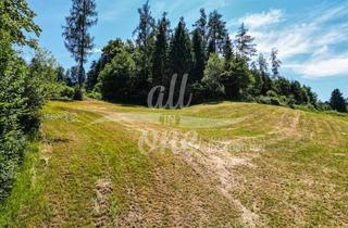 Grundstück zu kaufen in 9062 Moosburg, Sonniges Baugrundstück in Moosburg - Ruhige Lage am Waldrand (Nr.2)