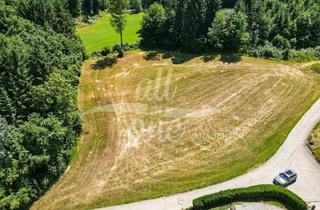 Grundstück zu kaufen in 9062 Moosburg, Sonniges Baugrundstück in Moosburg - Ruhige Lage am Waldrand