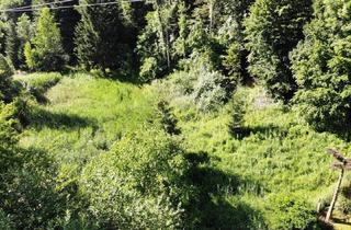 Grundstück zu kaufen in 8132 Pernegg, ** PREISSENKUNG ** Großzügiges Grundstück - auch als Gartengrund nutzbar - in ruhiger Lage- provisionsfrei für die Käufer!
