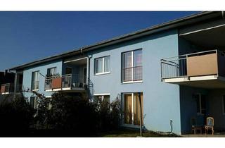 Wohnung mieten in Pfarrwald 41/6, 3354 Wolfsbach, Geförderte Miete mit Kaufoption | Top 6 | 1. OG mit Dachterrasse.