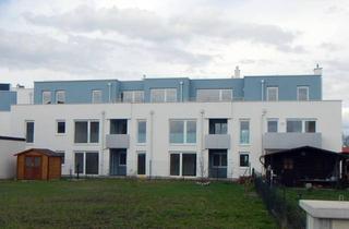 Wohnung mieten in Erlau-Gasse 12, 2441 Mitterndorf an der Fischa, Westseitige Wohnung mit Loggia