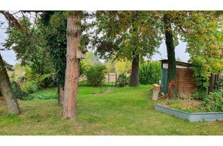 Haus kaufen in 2130 Mistelbach, Preisreduktion! Haus mit uneinsichtigen Garten direkt an der Stadtgrenze zu Mistelbach