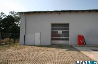 Gewerbeimmobilie mieten in 2442 Ebreichsdorf, Lagerhalle