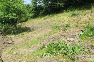 Grundstück zu kaufen in 4101 Feldkirchen an der Donau, Schöner Baugrund mit ca. 594 m² zu verkaufen!