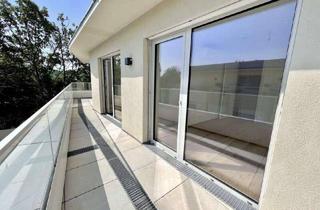 Wohnung mieten in 2333 Leopoldsdorf, 3-Zimmer-Dachgeschosswohnung mit Terrasse