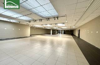 Gewerbeimmobilie mieten in Franzensbrückenstraße 20, 1020 Wien, Gewerbestandort nahe Praterstern - über 800 m2 Nutzfläche - Erdgeschossfläche - JETZT ANFRAGEN