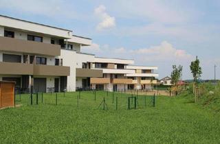 Wohnung mieten in Hainprechting 101, 4846 Redlham, hochwertige 2-Zimmer Mietwohnung mit Balkon