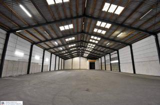 Büro zu mieten in 4300 Sankt Valentin, Industrie- / Werkshalle in St. Valentin - 1268 m² zur Miete für Ihre Geschäftsideen, zzgl. überdachte Freifläche 282 m²