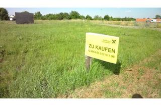 Grundstück zu kaufen in 7083 Purbach am Neusiedler See, Leistbares Eckgrundstück, aufgeschlossen mit Bauzwang bis 2029 !